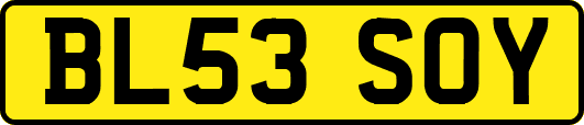 BL53SOY