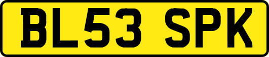 BL53SPK