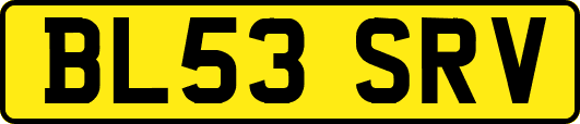 BL53SRV