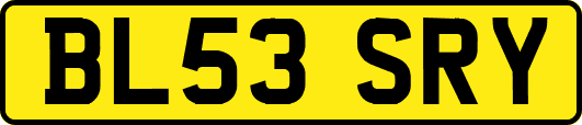 BL53SRY