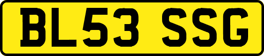 BL53SSG