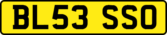 BL53SSO
