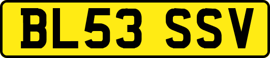 BL53SSV