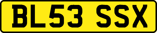 BL53SSX