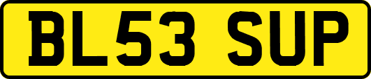 BL53SUP