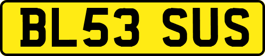 BL53SUS