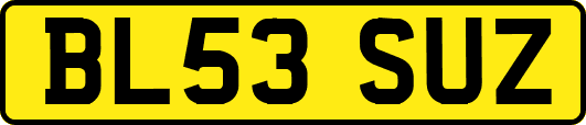 BL53SUZ