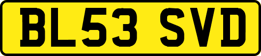 BL53SVD