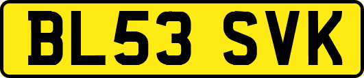 BL53SVK