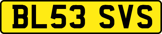 BL53SVS