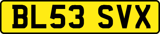 BL53SVX