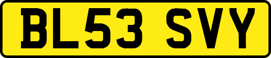 BL53SVY