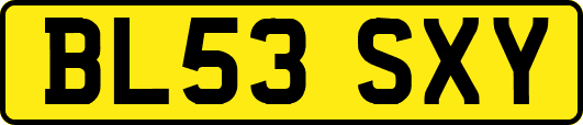 BL53SXY
