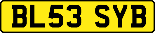 BL53SYB