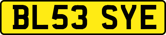 BL53SYE