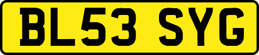 BL53SYG