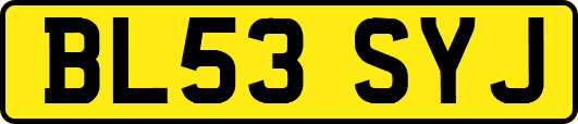 BL53SYJ