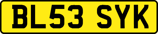 BL53SYK