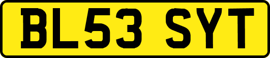BL53SYT