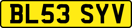 BL53SYV