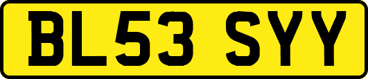BL53SYY