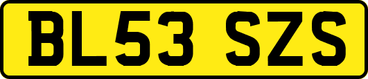 BL53SZS