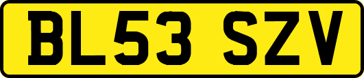 BL53SZV