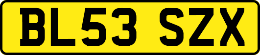 BL53SZX