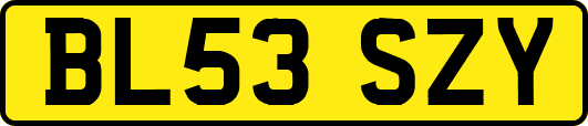 BL53SZY