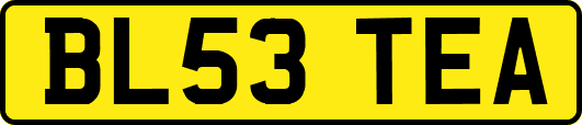 BL53TEA
