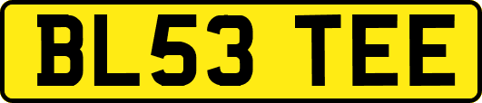 BL53TEE