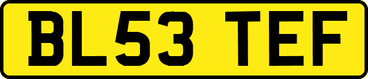 BL53TEF