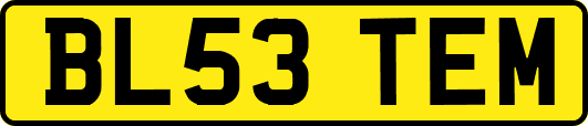 BL53TEM