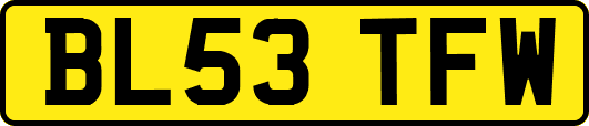 BL53TFW