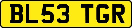 BL53TGR