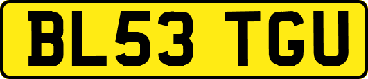 BL53TGU