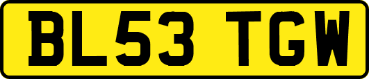BL53TGW