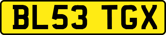 BL53TGX