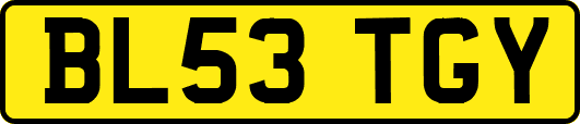 BL53TGY