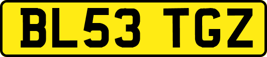 BL53TGZ