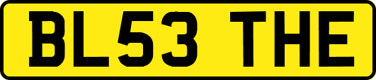 BL53THE