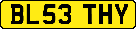 BL53THY
