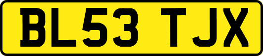 BL53TJX