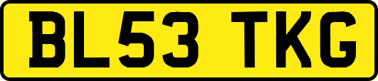 BL53TKG