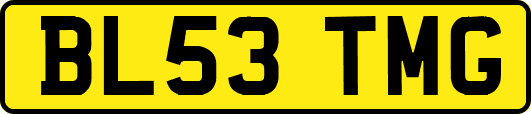 BL53TMG