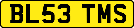 BL53TMS