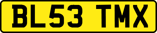 BL53TMX