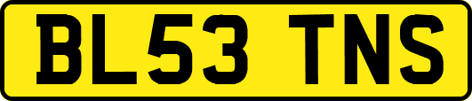 BL53TNS