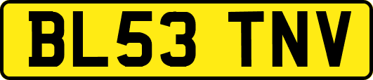 BL53TNV