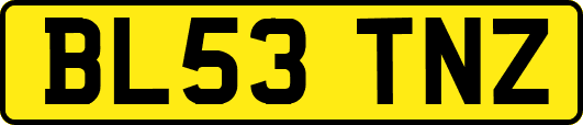 BL53TNZ